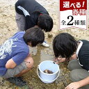 【ふるさと納税】【環境省重要湿地】【屋嘉田潟原】干潟の観察（3人）｜昼または夜