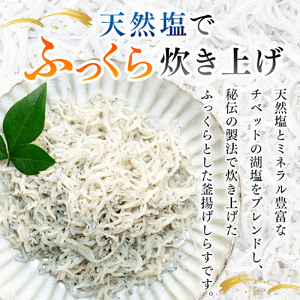 日間賀島 釜揚げしらす 1kg 【しらすしらす】