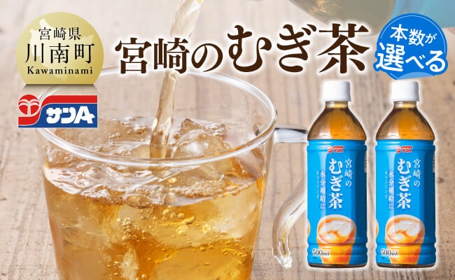 ※本数が選べる※サンA宮崎のむぎ茶　500ml PET 【 飲料 お茶 麦茶 宮崎県産 ペットボトル】 [C03021][C03022]