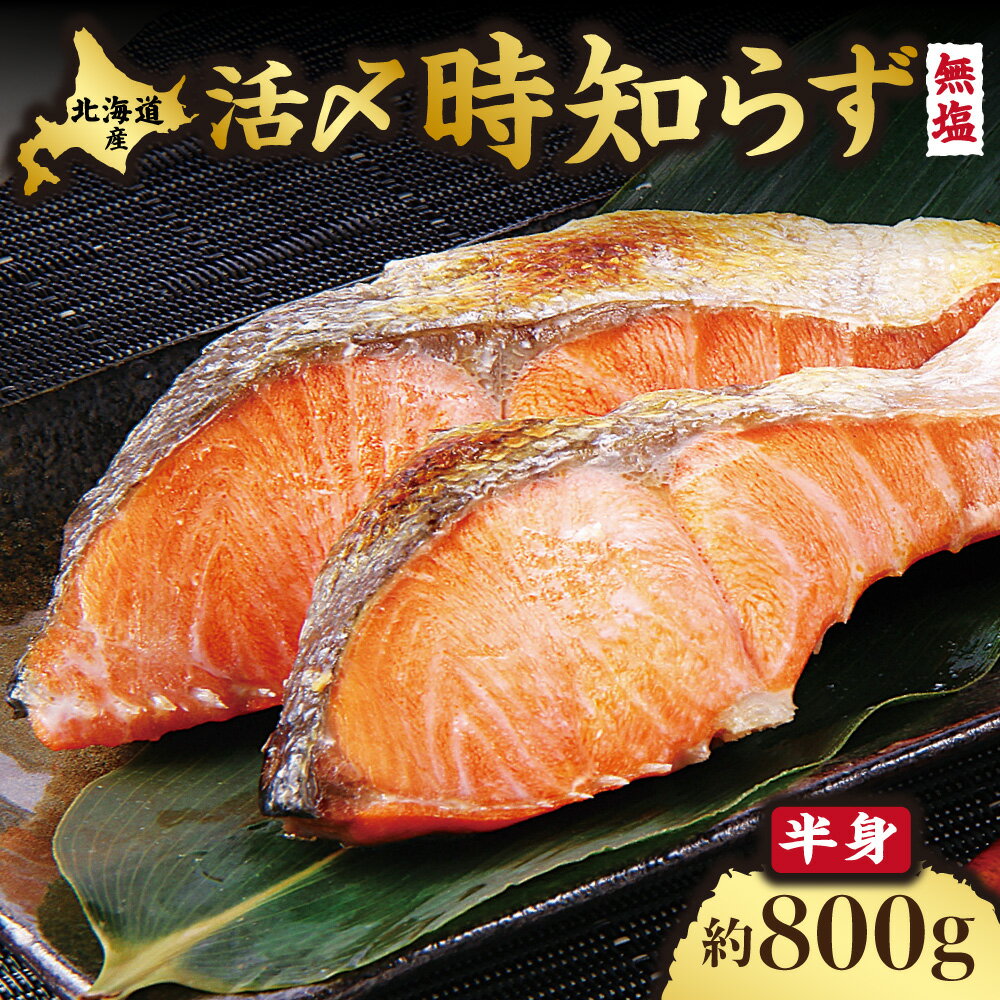 【ふるさと納税】活〆 時しらず 鮭切身 無塩 天然 半身 800g 小分け 頭なし 知床斜里産【配送不可地域：離島・沖縄県】【1698820】
