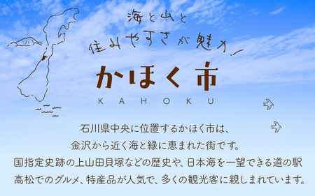 【返礼品なし】石川県 かほく市 応援寄附金 3,000,000円分 | 支援 純粋寄附