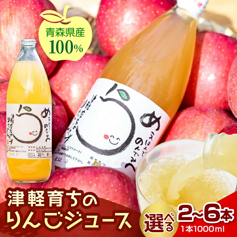 【ふるさと納税】 りんごジュース ストレート 100％ 青森 《 2本 3本 6本 》【2025年11月より順次発送】/ リンゴジュース 果汁飲料 アップルジュース 果物 飲料 リンゴ りんご アップル フルーツ ジュース ギフト 【 送料無料 ふるさと納税 青森県 五所川原市 】
