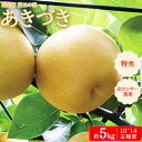【ふるさと納税】最高級 蔵王の梨 あきづき 約5kg 特秀・大玉　【04301-0717】