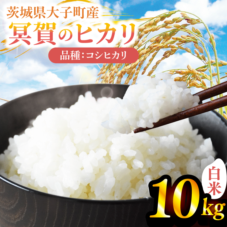 令和7年産「冥賀のヒカリ」コシヒカリ（白米）10kg｜茨城県 大子町 奥久慈 米 精米 ご飯 数量限定(DA002)