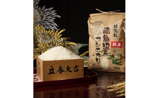 【令和8年産 新米予約 全12回定期便】南魚沼塩沢産コシヒカリ 白米5kg×12回 新潟県の特A地区南魚沼市の美味しいお米【定期便 銘柄米 ブランド米 精米 こしひかり コシヒカリ】【2026年11月上旬から1ヶ月以内に順次発送予定】