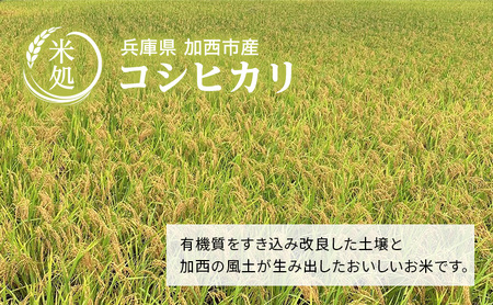 米 令和7年産 コシヒカリ 6kg (3kg×2袋) 精米 白米 お米 こめ こしひかり