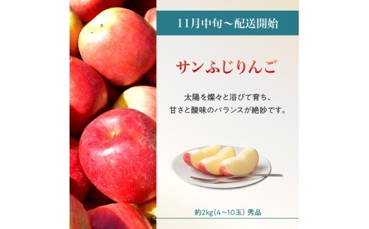 ≪先行受付≫ 山形からおすすめフルーツ定期便【定期便全4回】