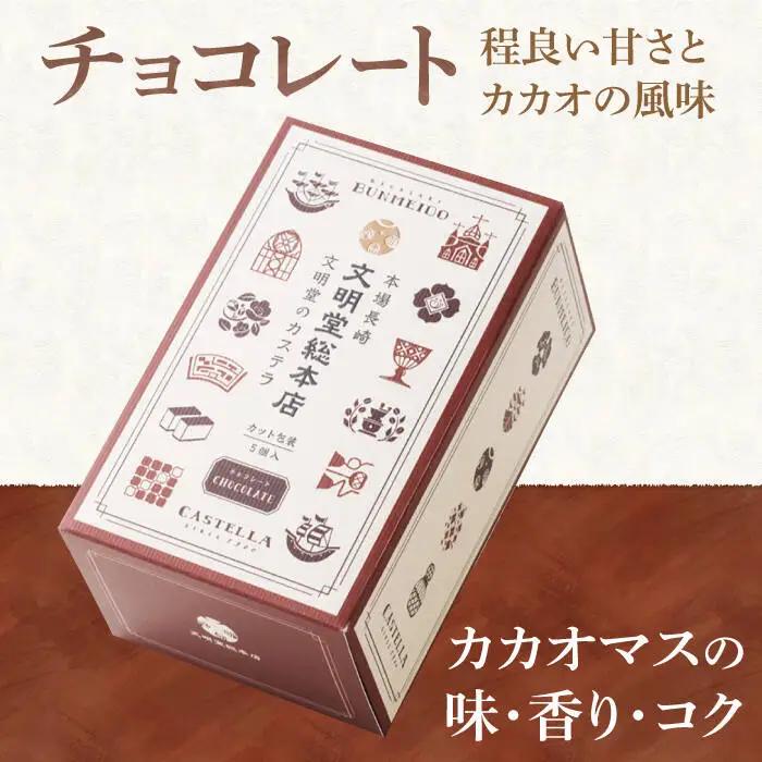 【12回定期便】 カステラ 2種 プレーン/チョコレート  [DBF018] カステラ