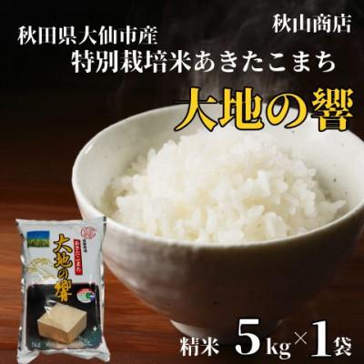 ふるさと納税 大仙市 令和7年産「特別栽培米 秋田県産あきたこまち　大地の響　精米5kg×1袋」