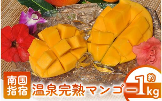 【2025年 発送】鹿児島県いぶすき産 温泉完熟マンゴー約1kg(T&P/022-1752) マンゴー フルーツ 果物 旬 夏 指宿 いぶすき 鹿児島  完熟  お供え 御供 ギフト 贈り物 プレゼント グルメ 予約 先行予約 南国 南国フルーツ 果実 マンゴー 太陽 国産 鹿児島県産 果汁