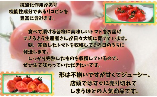 ジューシーでおいしいと好評のフルーツトマトです
