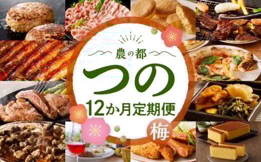 ≪12か月お楽しみ定期便≫都農町定期便(梅) 肉 加工品 デザート 国産_T999-0081
