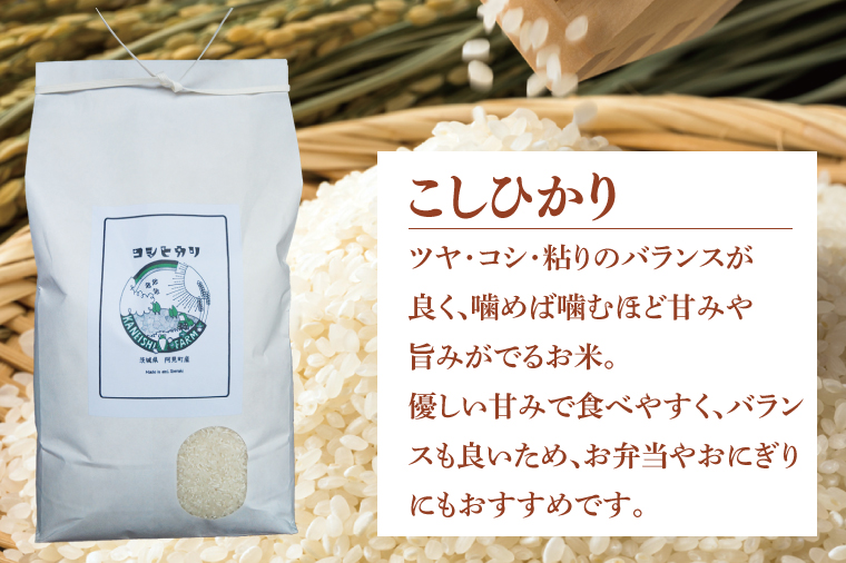 【先行予約】【10月中旬より発送】 コシヒカリ5kg【お米 白米 コシヒカリ こしひかり 精米 阿見町 茨城県】(71-02)