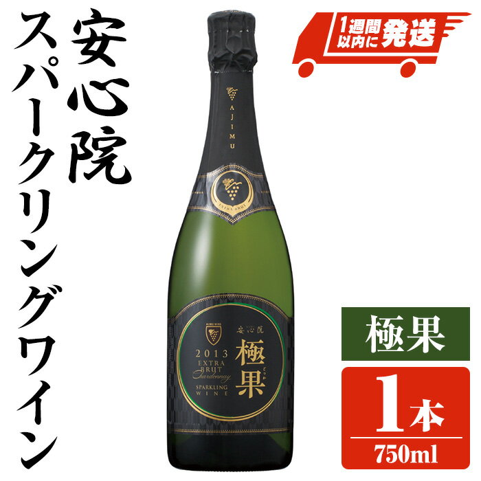 【ふるさと納税】安心院スパークリングワイン 極果(熟成白) 2013(750ml)酒 お酒 ワイン スパークリングワイン ぶどう 葡萄【107305200】【時枝酒店】