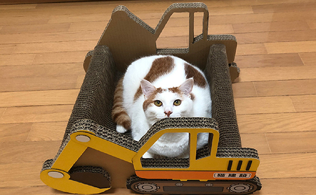 猫の爪とぎ　ショベルカー 猫 ねこ ネコ キャット cat 爪とぎ ダンボール 段ボール 丈夫 なりきり 写真映え 日本製 国産 おもちゃ ペット ペット用玩具 インテリア 動物 猫用品 猫用玩具 グ