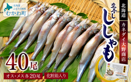 北海道産生干ししゃもセット（メス・オス各20尾） MKWAE001