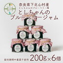 【ふるさと納税】先行受付 2024年9月～発送 栽培期間中農薬不使用 としちゃんのブルーベリージャム200gx6個 手摘み 下北山村産