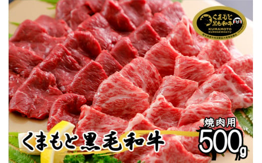 【令和6年12月出荷分】くまもと黒毛和牛500g（焼肉用）