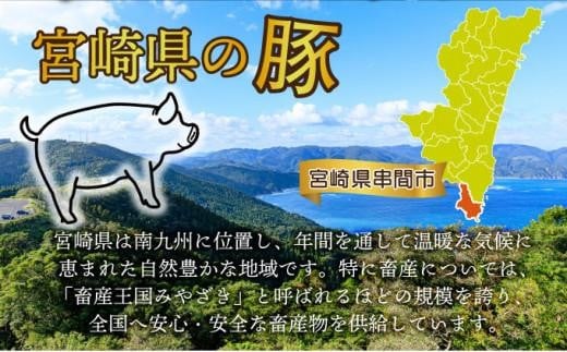 ＜2026年4月発送分＞宮崎県産豚バラエティー4.1kgセット