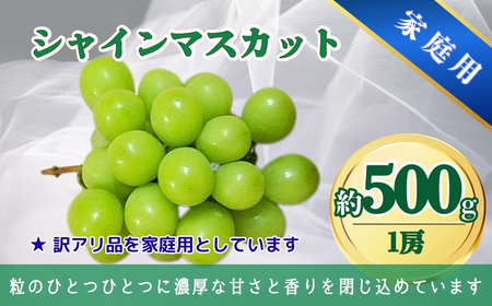 シャインマスカット＆クイーンルージュ® 家庭用 1kg(各1房/計2房)｜ ぶどう