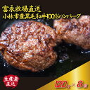 【ふるさと納税】【自社農場和牛】富永和牛手作りハンバーグ（ハンバーグ 牛肉 牛肉100% 国産 冷凍 調理済 宮崎 惣菜 小林市）