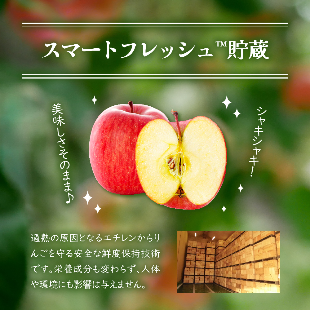 【2026年4月上旬発送】≪特選≫ 春の丸かじりサンふじ りんご 約5kg スマートフレッシュTM貯蔵 贈答用 果物 フルーツ 5キロ 青森県産