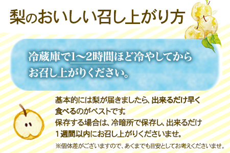 先行予約 産地直送 愛宕梨 約4kg (4~6玉前後) 水車の里フルーツトピア 期間限定 岡山県 矢掛町 なし 果物 スイーツ フルーツ デザート《12月上旬-2月中旬頃出荷》