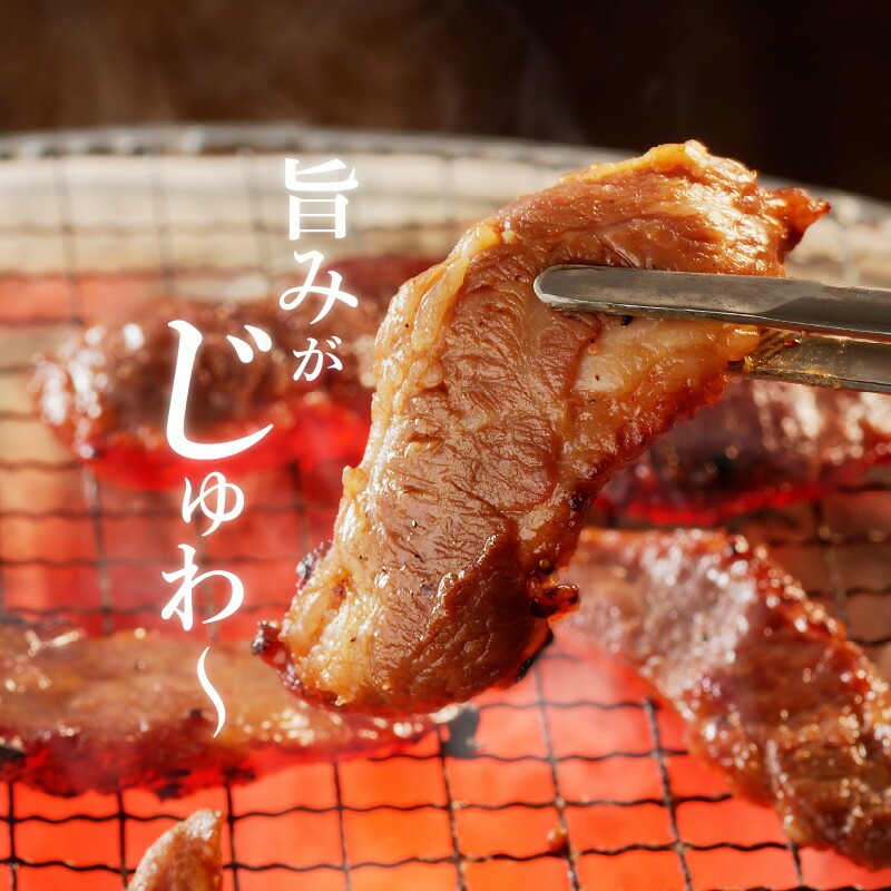 【宮崎産】豚ハラミ・サガリ タレ漬け 1kg(500g×2) N061-YA4420