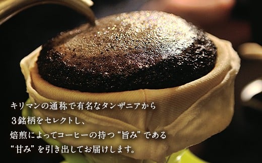 自家焙煎 おだ 珈琲 タンザニア 3種セット 各170g コーヒー 豆