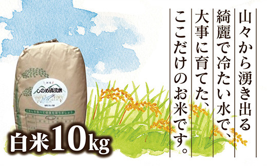 D352 しのめ清流米白米10㎏