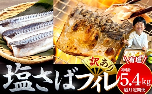 【隔月3回定期便】訳あり 塩サバ 約1.8kg 12枚 × 3回お届け 冷凍 鯖 塩 さば 魚 さかな 海鮮 海産物 おかず サバ 鯖ご飯 おすすめ 人気 さば サバ  鯖 魚 魚介 海鮮 惣菜 塩サバ 塩鯖 焼き鯖 サバ 焼きさば 焼さば 減塩  塩 鯖 さば サバ ギフト おすすめ 人気 ふるさと納税 鯖 サバ さば ふるさと納税さば 愛知県南知多町 南知多 愛知県 愛知県産サバ