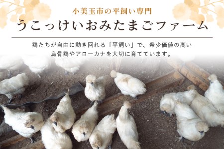 平飼い極上のうこっけいの卵24個（20＋補償4個）×定期便12回 たまご 玉子 烏骨鶏 烏骨鶏の卵 安全 テレビ TV マニアさん 健康 美容 ご飯 すき焼き 目玉焼き 卵焼き 玉子焼き たまご焼き 
