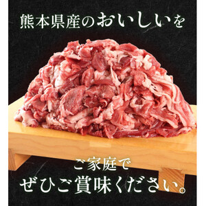 熊本県産　GI認証取得　くまもとあか牛　切り落とし 合計1kg【益城町】【配送不可地域：離島】【1113935】