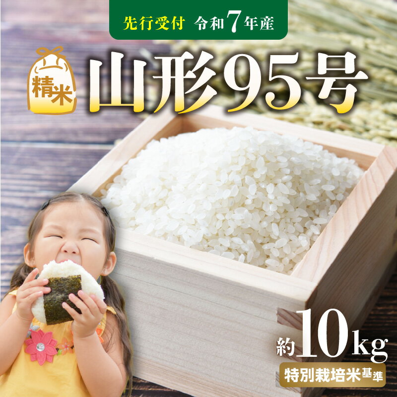【ふるさと納税】《先行受付》 山形95号 （令和7年産） 精米 約10kg 【2025年10月中旬以降〜順次発送予定】 お米 白米 ご飯 山形県産