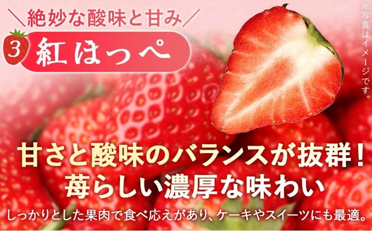 【2027年2月より順次発送】福岡いちご3種　食べ比べセット（あまおう＆かおり野＆紅ほっぺ））2026