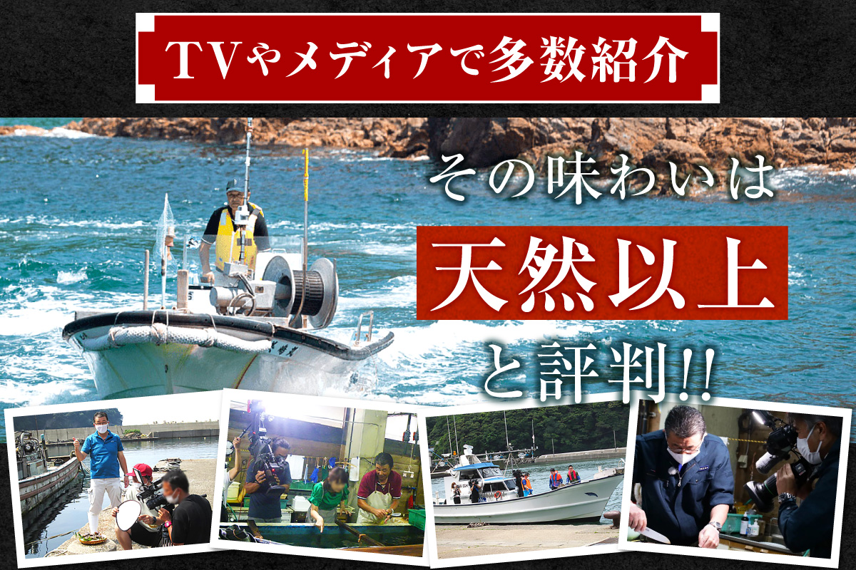 【冷蔵 活あわび 養殖 9.5cm×2枚 200～240g (1個100～120g）】満点青空レストラン うまい！おせち2023に採用されました 新鮮 レシピ入り 香美町 香住 山陰 活アワビ 海鮮 