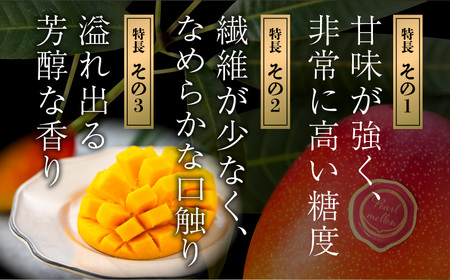 宮崎県産 希少種マンゴー パルメロ 計900g以上 2～3玉入り 2024年発送 期間限定 数量限定（マンゴー 宮崎マンゴー 完熟マンゴー）