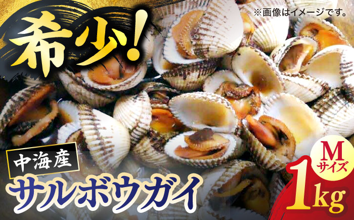 【数量限定50個】山陰の冬の味覚！中海産 赤貝(サルボウガイ)1kg 島根県松江市/道の駅本庄企業組合 [ALCW001] 魚貝