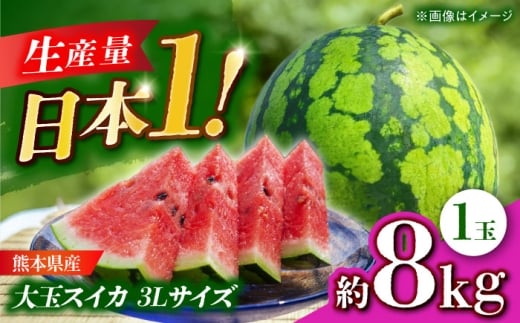 【先行予約】 大玉スイカ 3Lサイズ 1玉入り 約8kg すいか 大玉 熊本 フルーツ 野菜 果物 【日本フルーツ株式会社】 [ZFJ047]