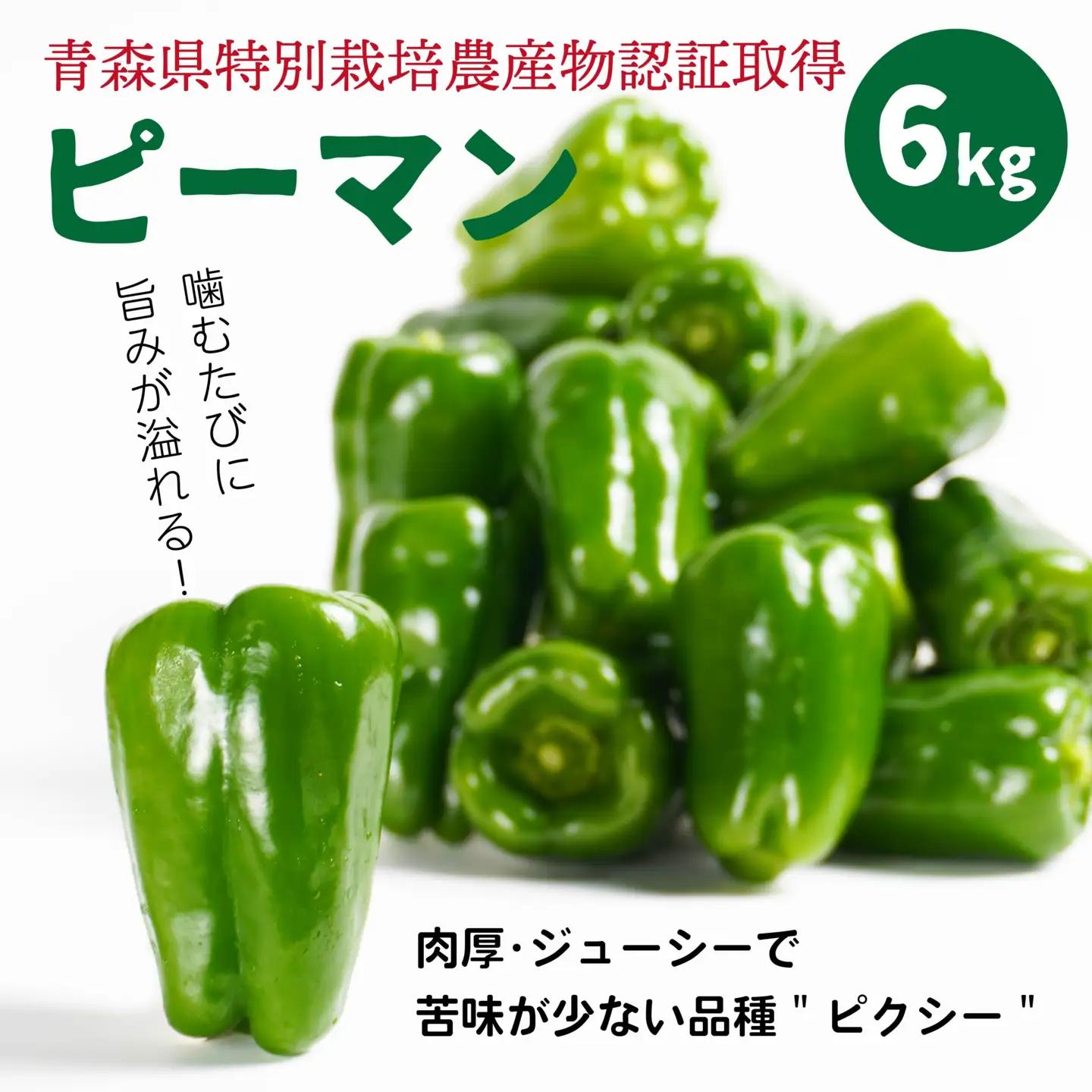 【青森県特別栽培】ピーマン 6kg ピクシー 【8月上旬～10月前半発送】　