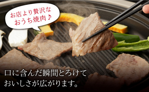 佐賀和牛 ロース 焼肉用 700g 【一ノ瀬畜産】 [NAC013] 佐賀和牛 牛肉 焼肉 BBQ 佐賀和牛 牛肉 焼肉 BBQ