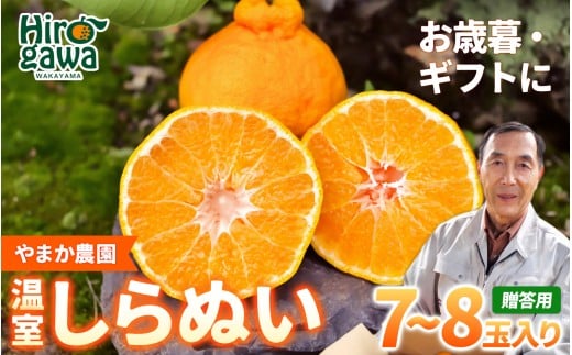 【12月発送】 温室 不知火 （ しらぬい ） 3kg（7〜8玉）化粧箱入 / デコポン ハウス栽培 甘い 和歌山 柑橘 お歳暮 ※2026年11月下旬〜2026年12月下旬に順次発送 【ymk006-p-3】