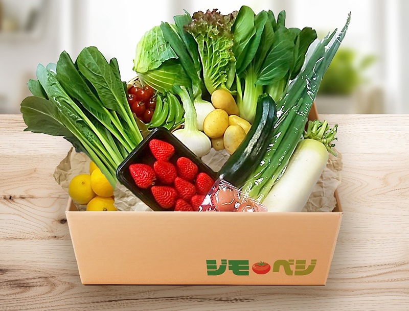 a10-1232　ジモベジ野菜セット