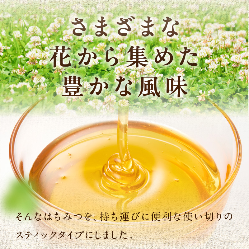 はちみつスティック（10g×5本入り）×3袋【メール便】 はちみつ ハチミツ ハニー 蜂蜜 使い切り 小分け 便利 手軽 持ち運び 福岡県 八女市