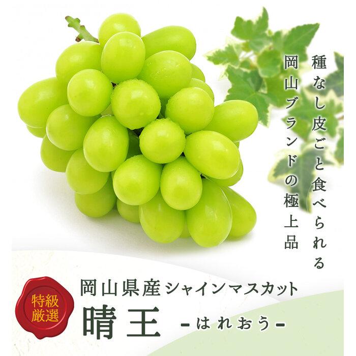 【ふるさと納税】2026年 岡山県産　シャインマスカット『晴王』1房(800g以上) 化粧箱入り | フルーツ 果物 くだもの ぶどう ブドウ シャインマスカット 晴王 国産 岡山県産 食品 人気 おすすめ 送料無料 ギフト 贈り物 贈答品 プレゼント