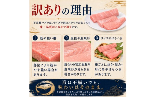 訳あり 不定貫 定期便 4回 国産 養殖本マグロ 大トロ 毎回300g×4回 黒潮本まぐろ 全国養殖クロマグロ品評会 最優秀賞受賞 4ヶ月 4か月 柵 刺身用 本マグロ クロマグロ 本鮪 まぐろ 鮪 