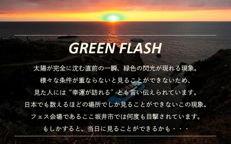 【先行予約】GREEN FLASH Fes 2026 -in SHIBAMASA- 入場チケット（大人2名）【5月30日(土)開催】【2026年4月以降順次発送予定】【音楽イベント ミュージック 音楽