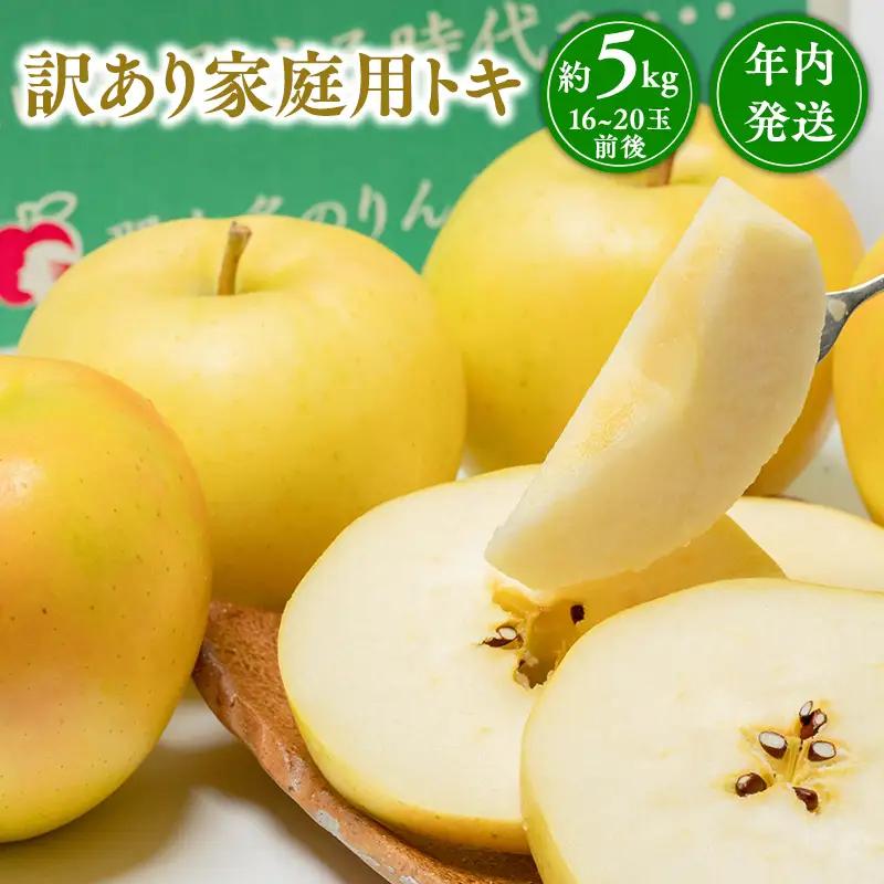 りんご 家庭用 トキ 約5kg 【hi-0005-008】