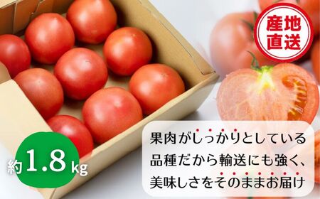 《先行予約》飛騨トマト 約2kg（8－10玉）産地直送 野菜 とまと トマト 麗月 夏野菜 やさい サトーカルチャー [Q2478]
