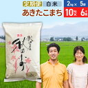 【ふるさと納税】《定期便6ヶ月》令和6年産 あきたこまち特別栽培米10kg（2kg×5袋）×6回 計60kg【白米】秋田県産あきたこまち 6か月 6ヵ月 6カ月 6ケ月 秋田こまち お米 秋田